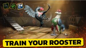 LETS FIGHT ROOSTER GOOGLE PLAY